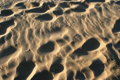 Apollo Bay sand