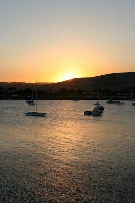 u12/amj/medium/41499977.Picture098.jpg