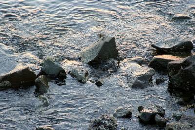 Rocks