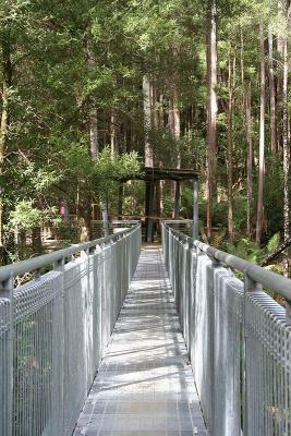 The First Walkway