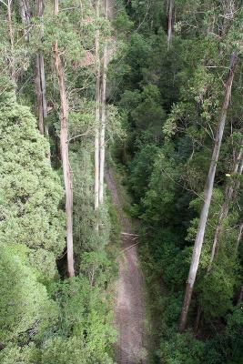 Looking down from 47 metres