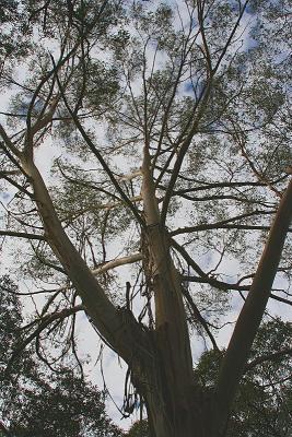 Looking back up - from 15 metres