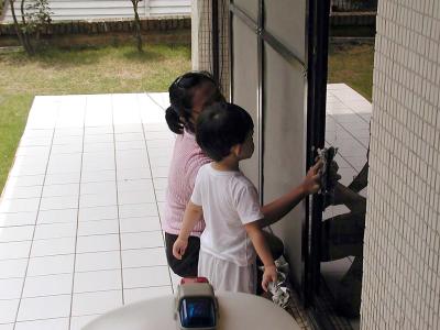 Taipei: helping Siti clean windows