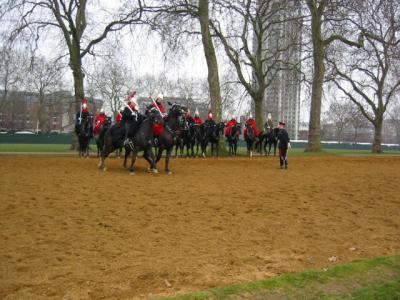 IMG_9650.JPG