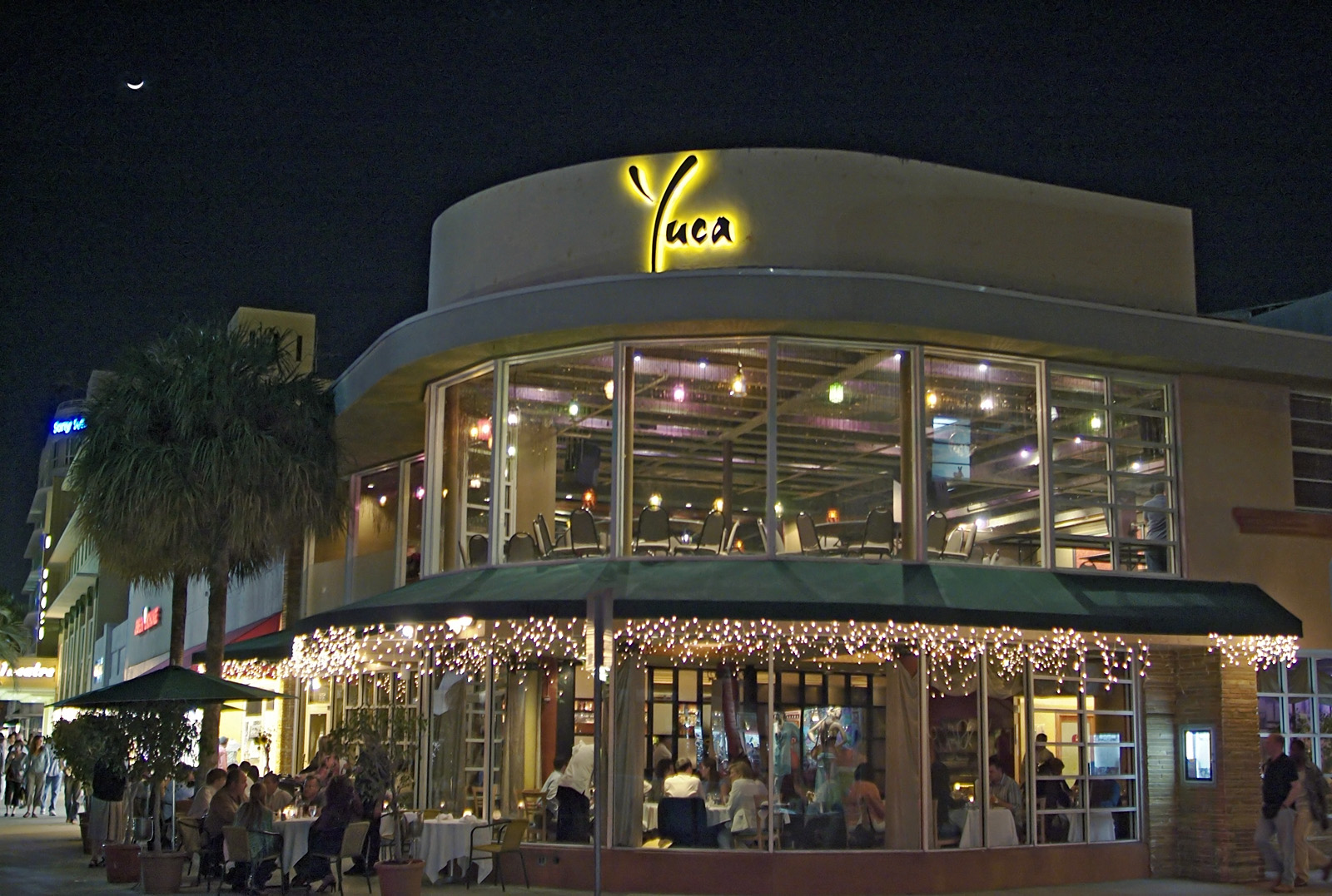 Lincoln Road Yuca 01