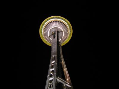 the space needle (in seattle)