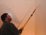andrew paints inside pantry (more temporary beard photos soon)