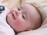 240-4099_IMG.JPG