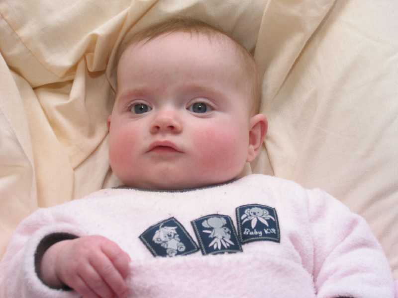 240-4050_IMG.JPG