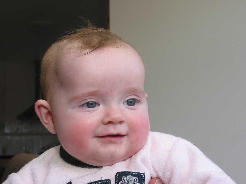 240-4082_IMG.JPG