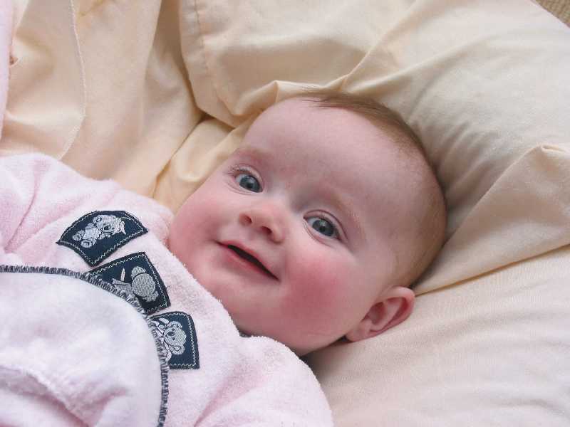 240-4096_IMG.JPG