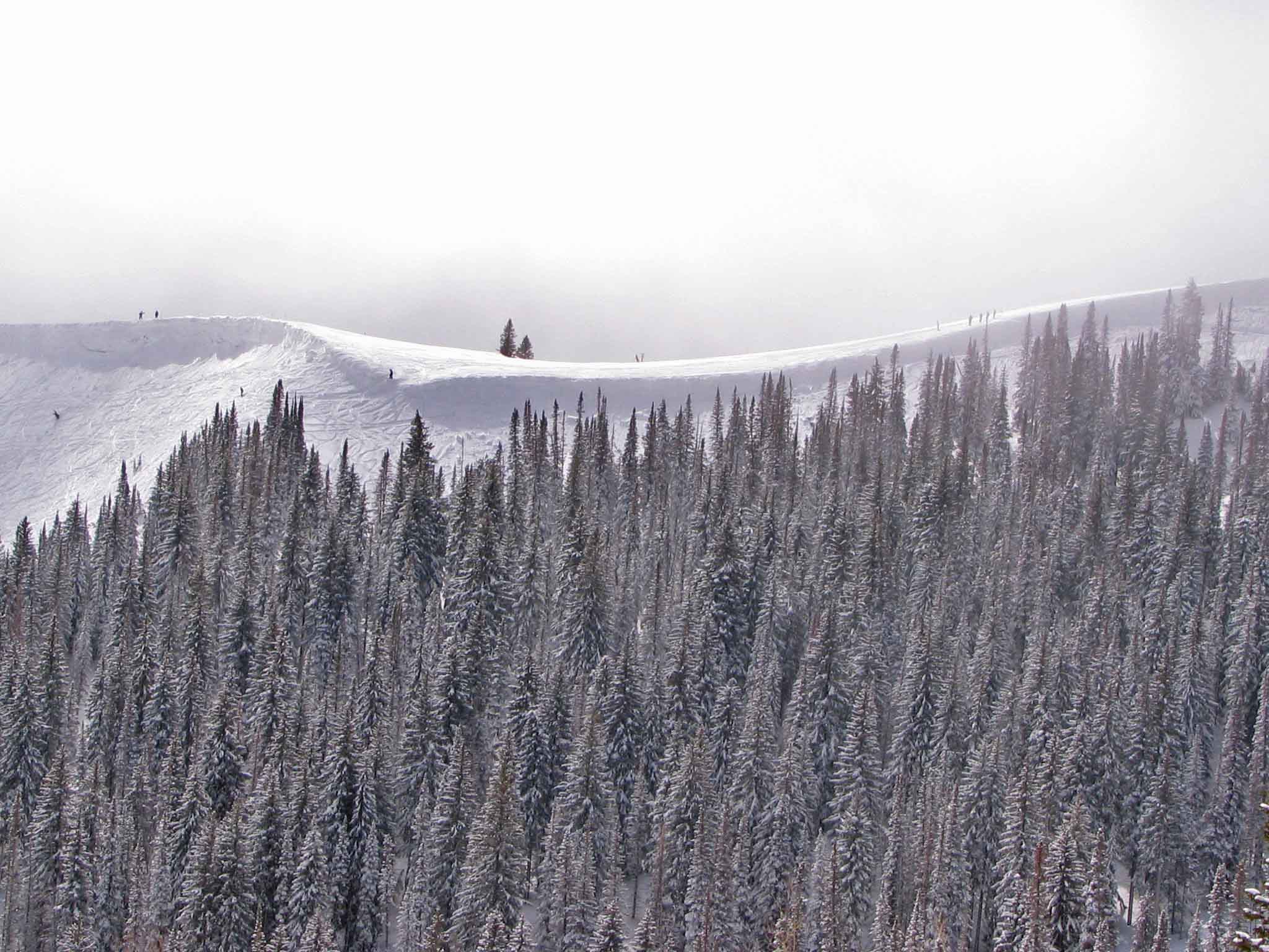 Top of Daly Bowl