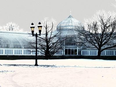 Botanic Garden In Winter