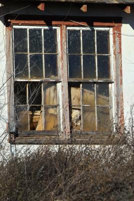u12/barryb/medium/38334833.mattressWindow.jpg