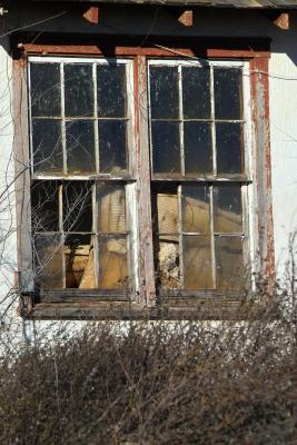 mattress in window