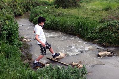 Crossing Nachal Tzipori (546a)