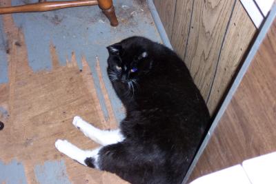 DCP_0090.JPG