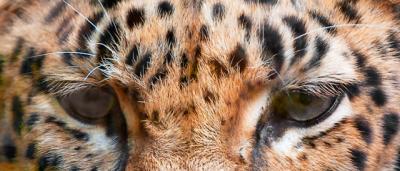 CRW_8291_RT16.jpg