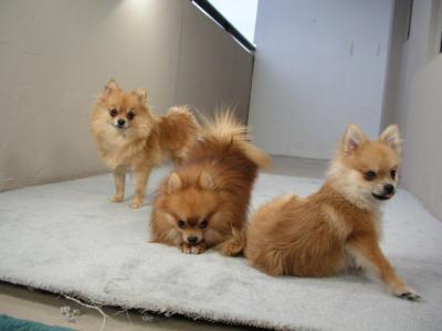 Dec24_02_325.JPG