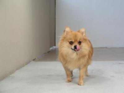 Dec24_02_334.JPG
