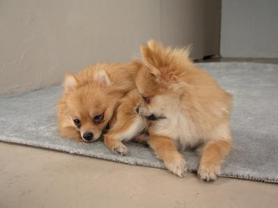 Dec24_02_432.JPG