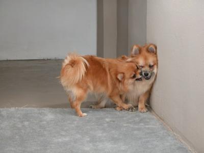 Dec24_02_840.JPG