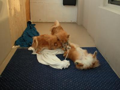 Dec24_02_899.JPG