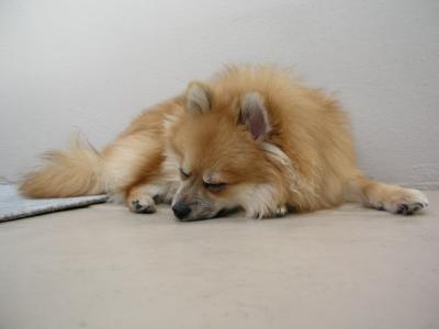 Dec29_02_538.JPG