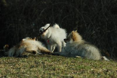 Apr18_05_380.JPG