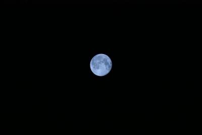 IMG_3450.JPG
