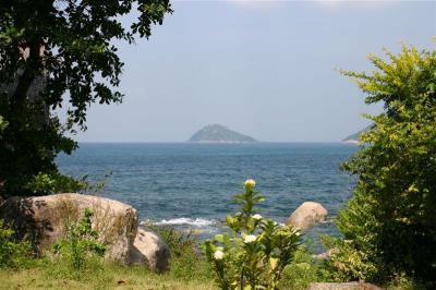 IMG_3646 (3).JPG