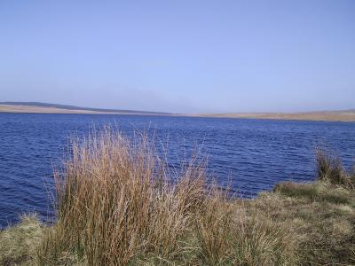 Dungonnell