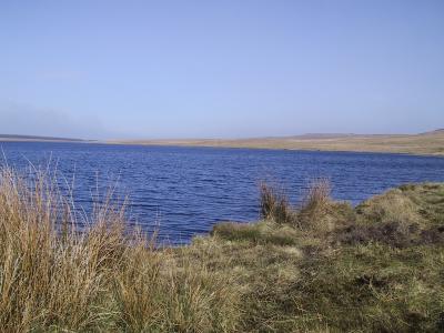 Dungonnell