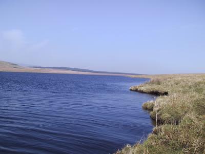 Dungonnell