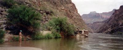 u12/bmcelya/medium/38351589.NudeFlyfisher.jpg