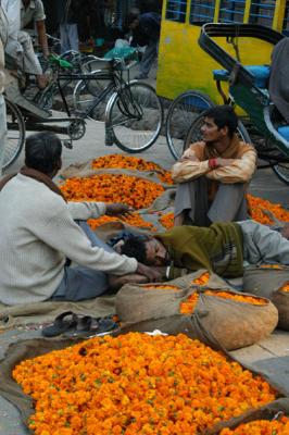u12/bmcmorrow/medium/38337622.delhi488.jpg