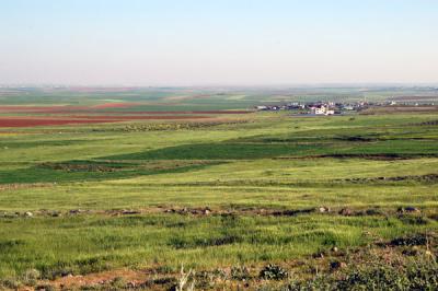Green fields between Karak and Wadi Mujib, Jordan