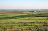 Green fields between Karak and Wadi Mujib, Jordan