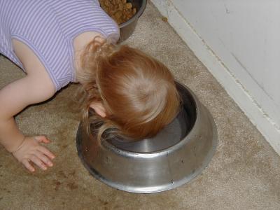 new feeding strategy