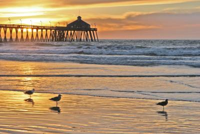Sea Gulls At Sunset 02