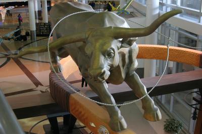 Bull #1
