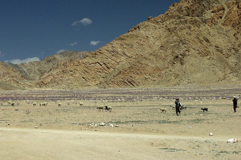 087 - Basgo Nomads