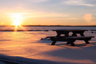 Chilly Picnic
