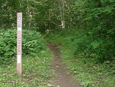 trailhead facing north, toward Copper Bald