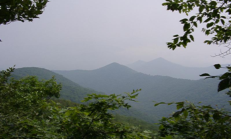 07020025s.jpg