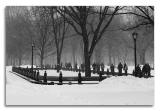 20030217-nyc-8486d.jpg