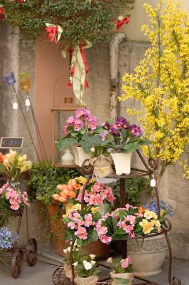 u12/canon_300d/medium/41540334.flowershoprothenburg.jpg
