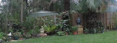 Backyard Panorama