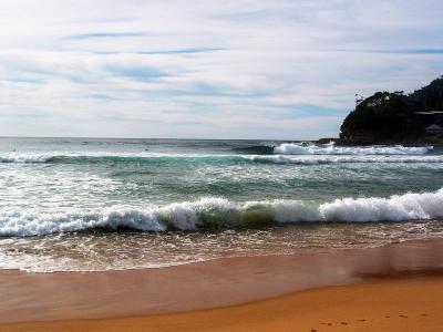 Avoca