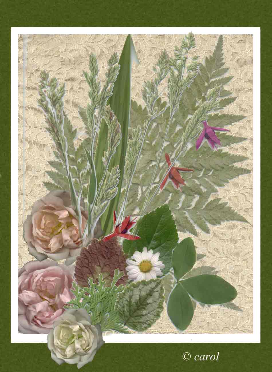 Flowers and leaves scanned